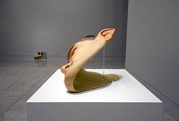 Introducing Ron Mueck | Inside the MFAH | The Museum Arts, Houston