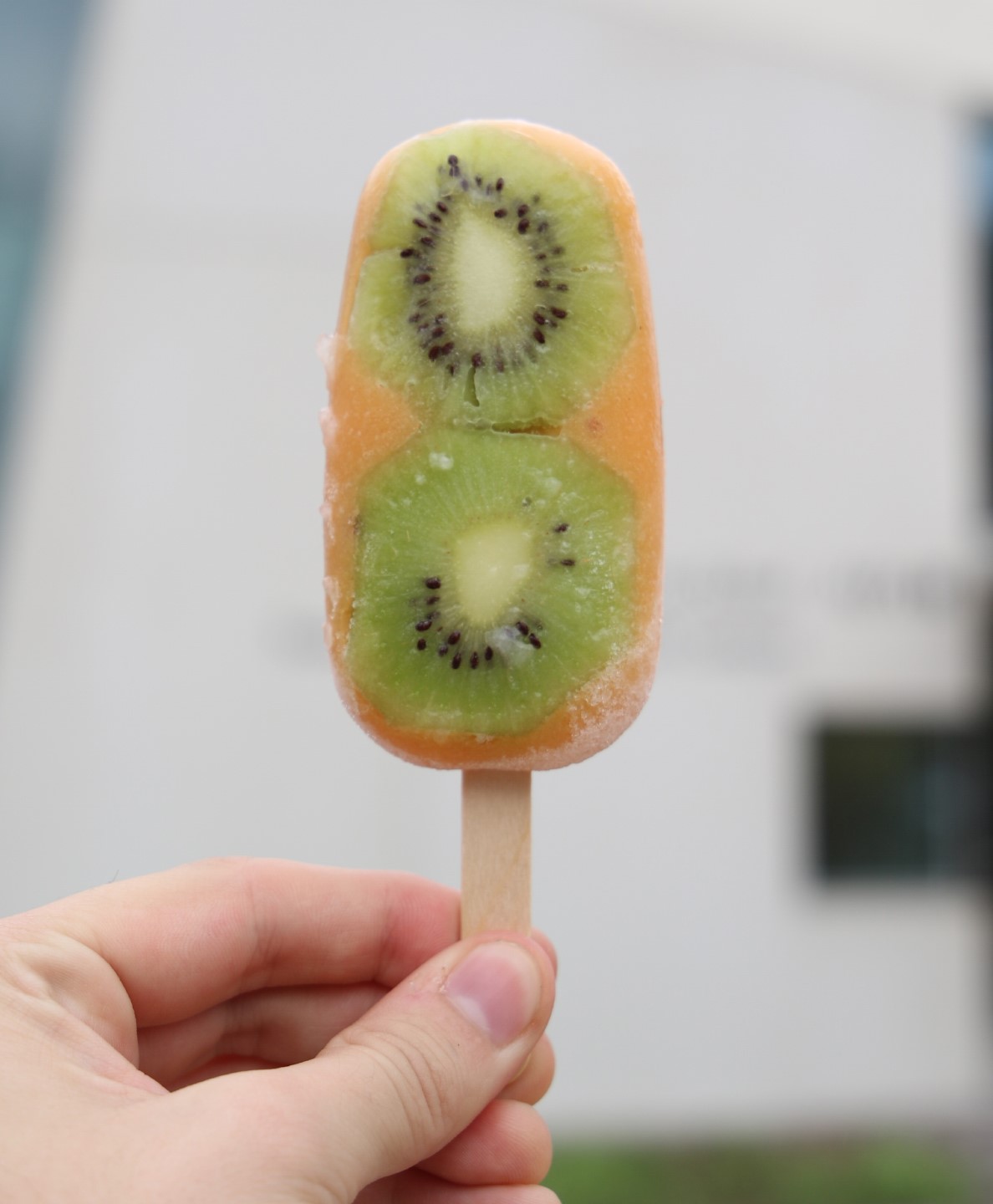 Kiwi Mango Guava Pop by Popston