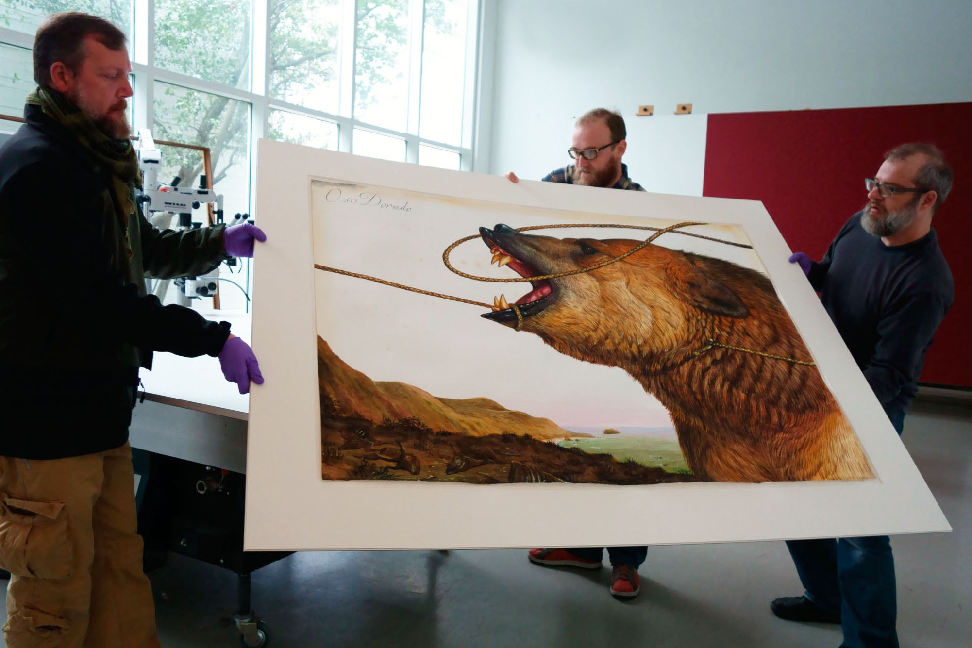 Left to right: Menil Collection staff members Tom Walsh, Adam Baker, and Tobin move the unframed “Oso Dorado” to a workbench.