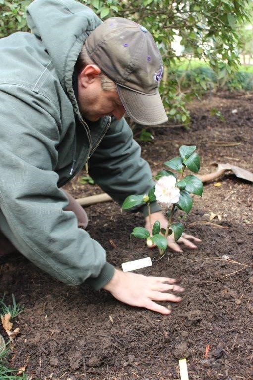 Gardening With The Mfah The Museum Of Fine Arts Houston