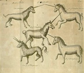 “A Compleat History of Druggs” by French pharmacist Pierre Pomet, 1712