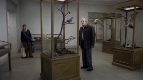 A Pigeon Sat on a Branch (Museum)