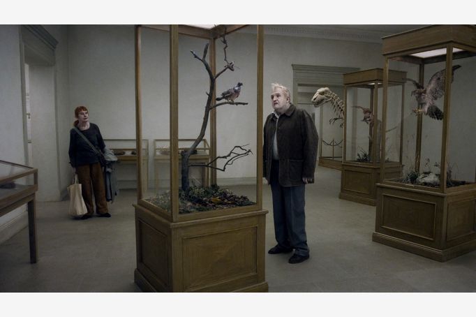 A Pigeon Sat on a Branch (Museum)