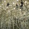 “Big Bambú” engulfs the Mies van der Rohe Galleries of the Museum of Fine Arts, Houston, this summer—ArtDaily, June 12, 2018