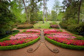 Bayou Bend Butterfly Garden