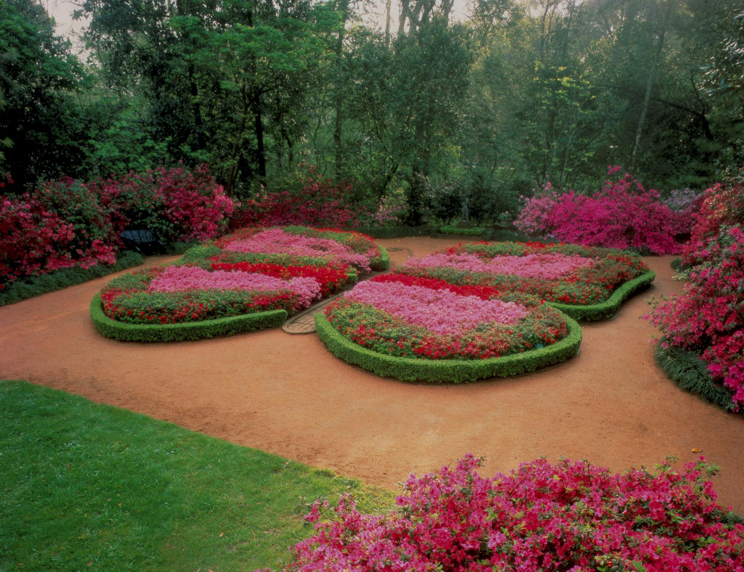 Bayou Bend Gardens The Museum Of Fine Arts Houston   Bayou Bend Butterfly Garden.5548050868311841085 