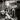 The “Rolling Thunder Revue” Review—Michael Bergeron, Byline Houston, June 11, 2019