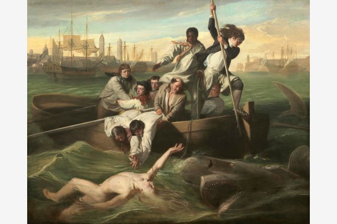 Copley- Watson and the Shark