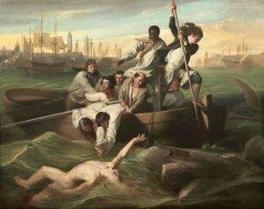 Copley- Watson and the Shark