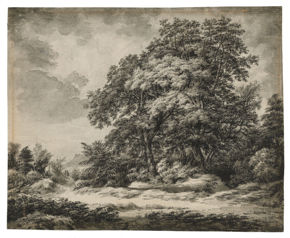 Edward Lear, Forest Landscape, c. 1838–48, ink and wash on laid paper