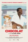 Film Poster Chocolat