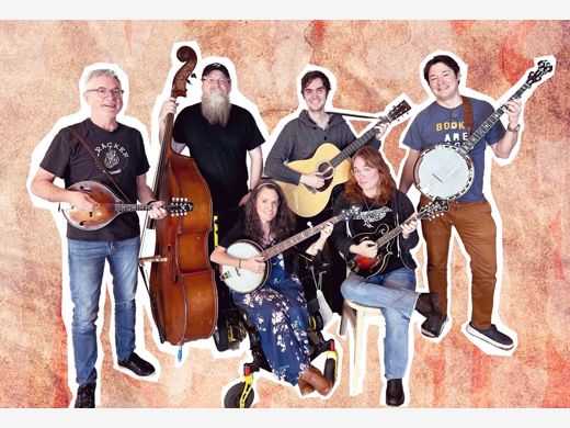 The Fire Ants String Band