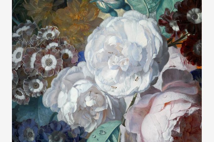 FLORESCENCE BLOG ONLY - Van Huysum detail
