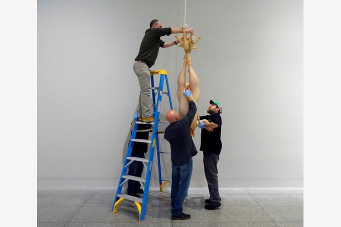 FOR BLOG POST ONLY - Mueck - chicken