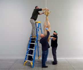 FOR BLOG POST ONLY - Mueck - chicken