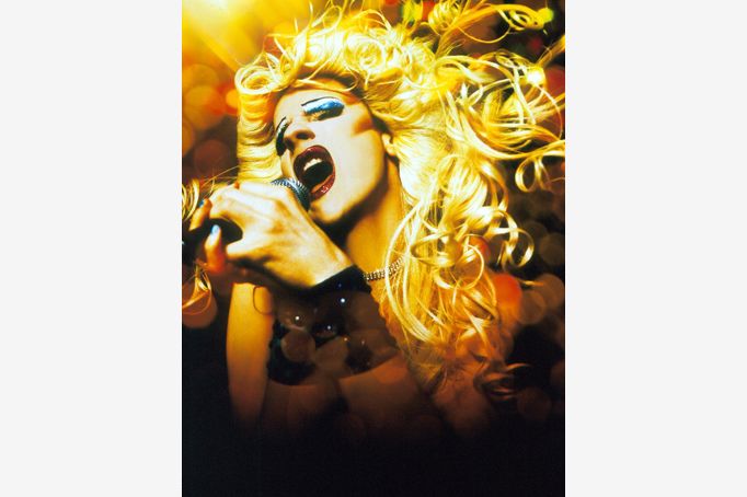 hedwig - no text, for blog post