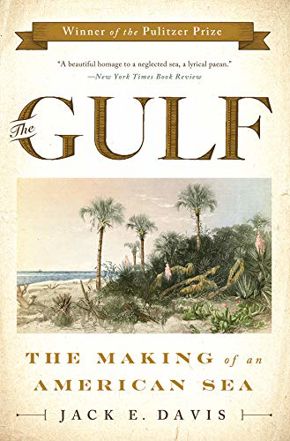History Book Club The Gluf The Making of an Ameican Sea
