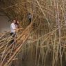 Bamboo Waves Flood the Museum of Fine Arts—Elizabeth Muscari, Houston Hotel Magazine, June 23, 2018