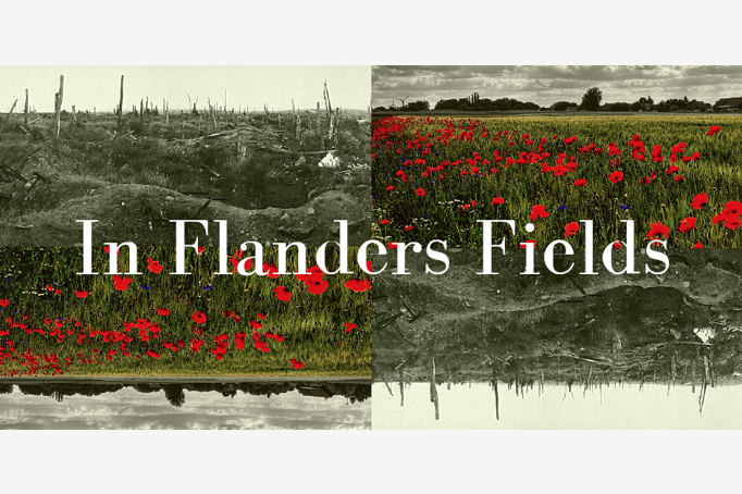 In Flanders Fields