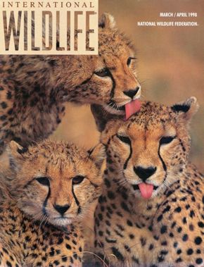 Int'l Wildlife magazine