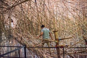 Mike + Doug Starn: Big Bambú - adult on bridge into pathway