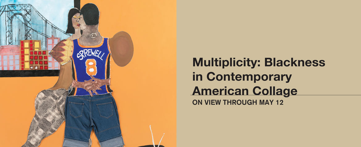Multiplicity: Blackness in Contemporary American Collage - On View Through May 12