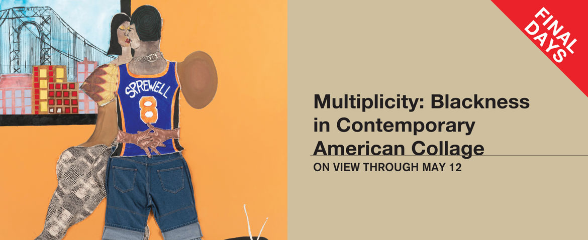 Multiplicity: Blackness in Contemporary American Collage | Final Days