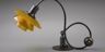 Electrifying Design