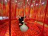 Ernesto Neto: SunForceOceanLife