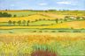 Hockney/Van Gogh