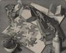 M.C. Escher, Reptiles