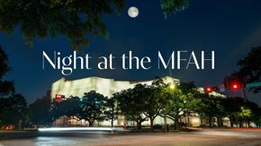 Night at the MFAH