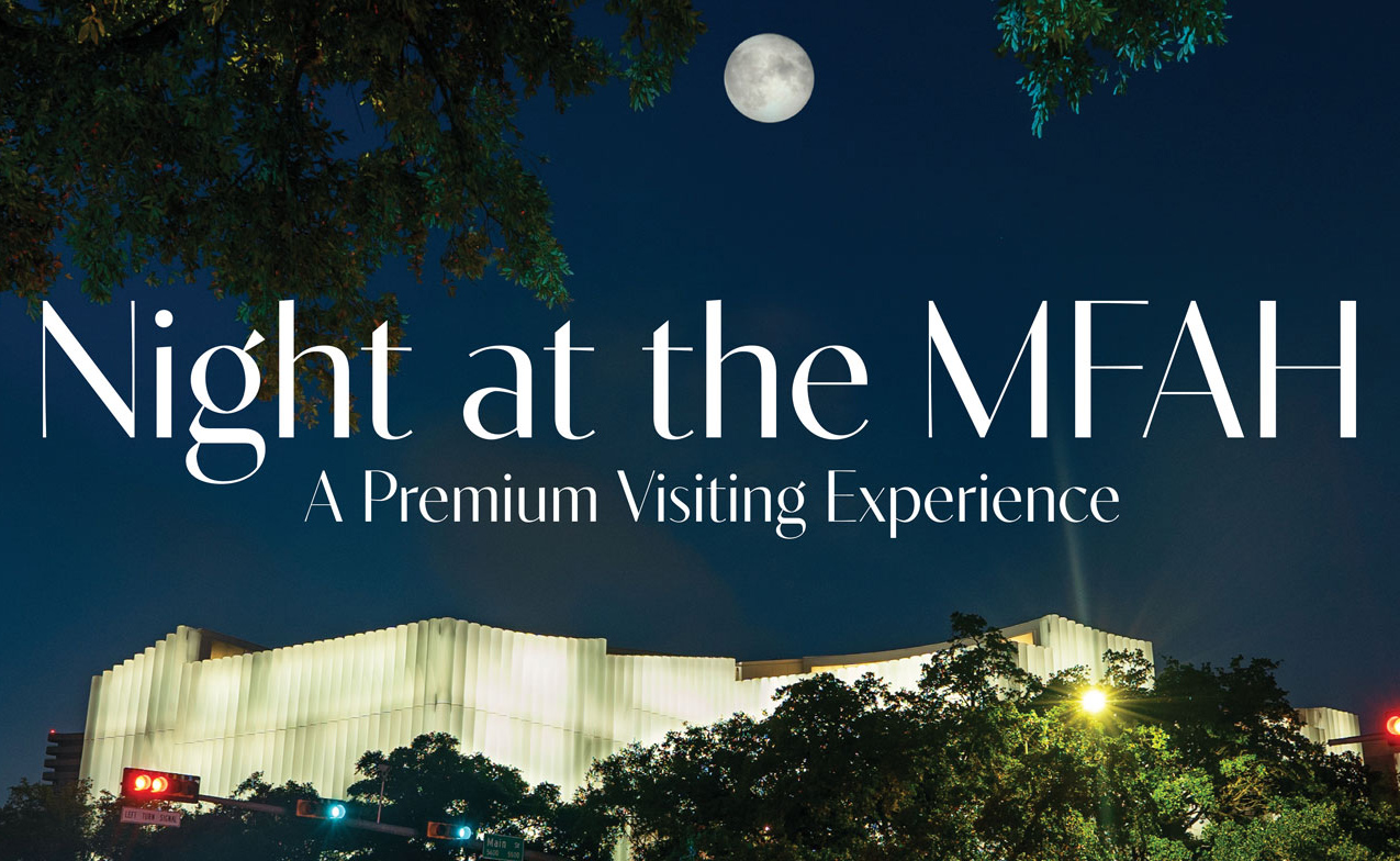 Night at the MFAH