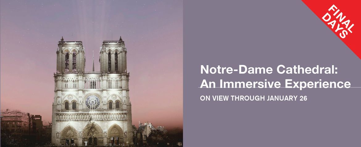 Notre-Dame Cathedral: An Immersive Experience - Final Days