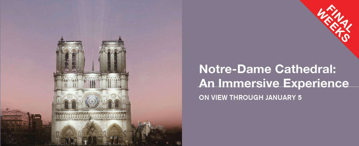 Notre-Dame Cathedral: An Immersive Experience - Final Weeks