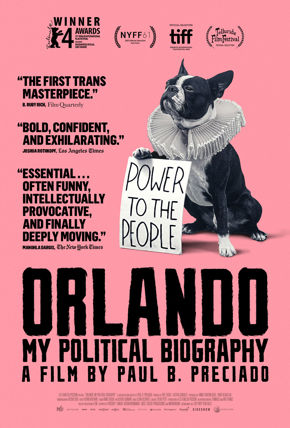 Orlando My Political Biography Film Poster