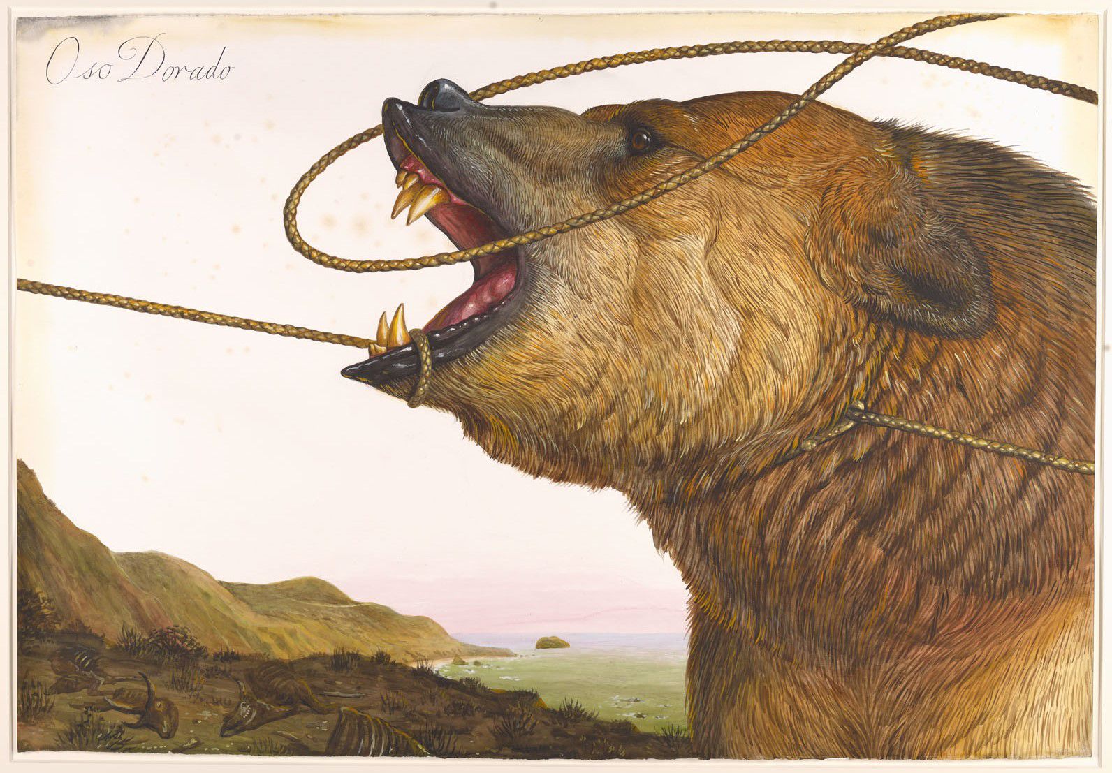 Endangered Animal? Assessing the Light Sensitivity of Walton Ford's “Oso  Dorado” | Inside the MFAH | The Museum of Fine Arts, Houston