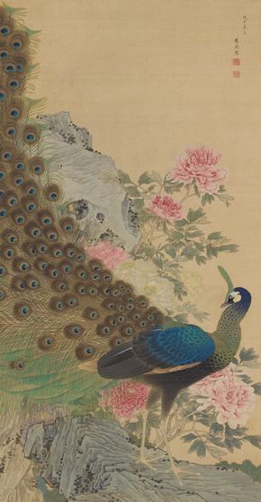 Peacock And Peonies