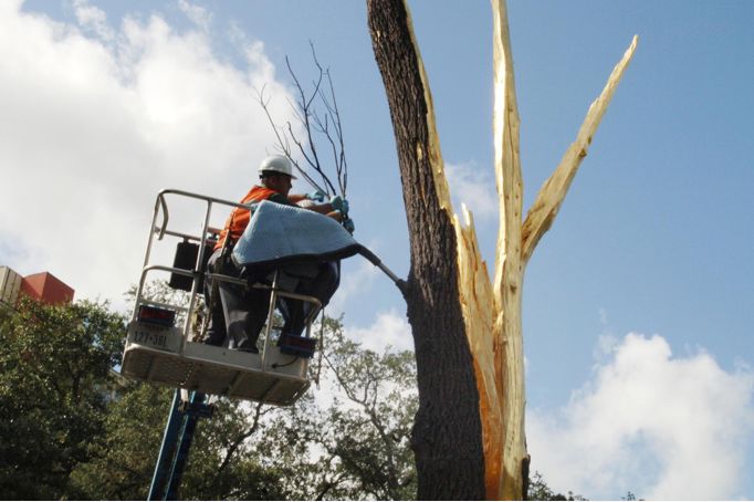 Penone install 189
