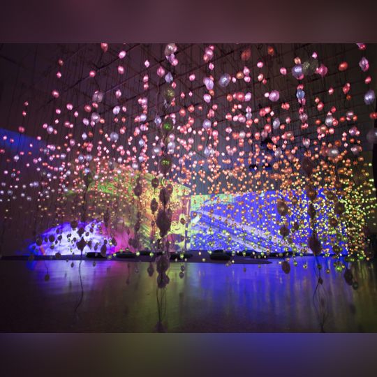 Pipilotti Rist: Pixel Forest and Worry Will Vanish