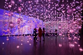 Pipilotti Rist: Pixel Forest and Worry Will Vanish