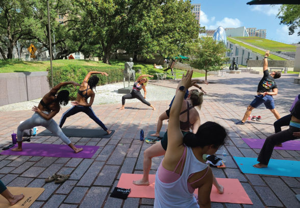 Public Programs - Wellness Programs Image