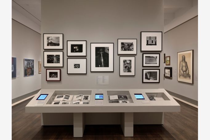 Soul of a Nation | installation view (photography 1)