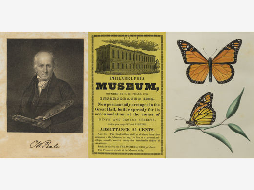 The Cabinet of Natural History and American Rural Sports (vol. 1), McElroy’s Philadelphia City Directory for 1841, American Entomology, or Descriptions of the Insects of North America (vol. 3)