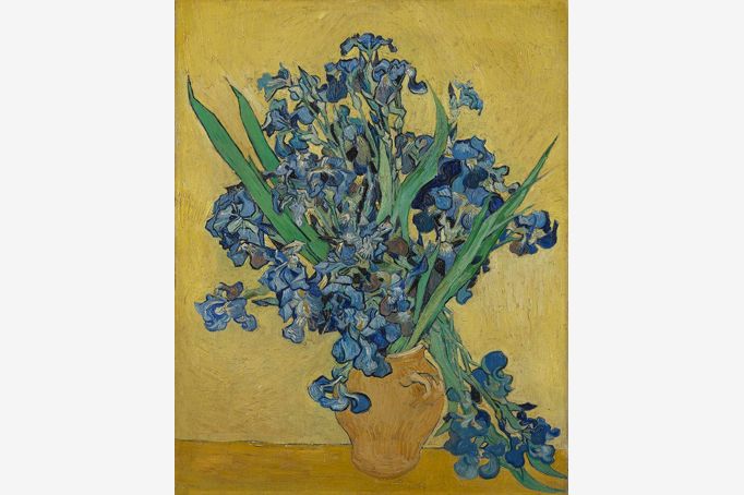 van Gogh - Irises (van Gogh Museum)