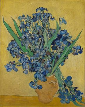 van Gogh - Irises (van Gogh Museum)